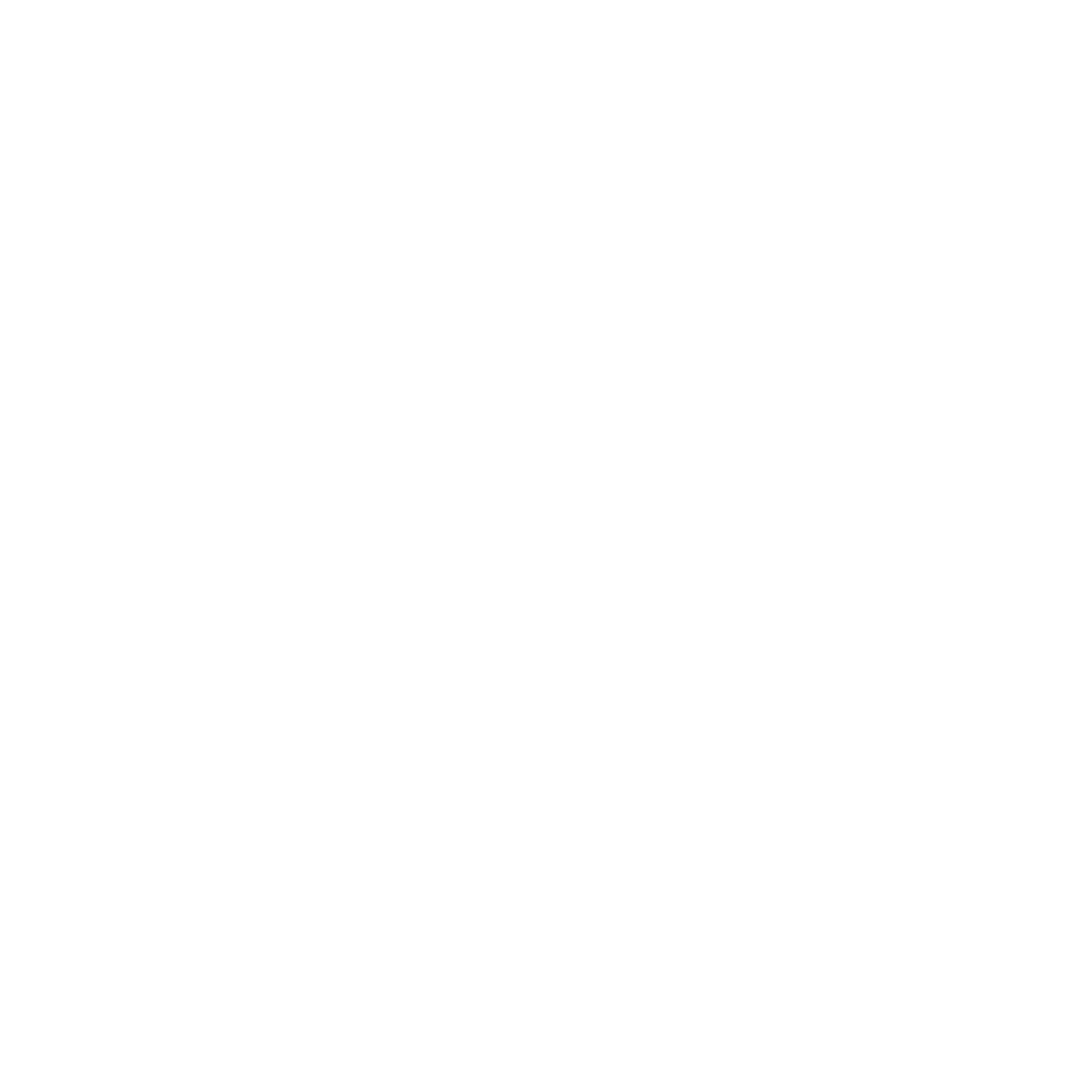 Nintendo Entertainment System logo